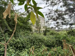 Commercial Quarter Acre in Ngong Vet 2nd Row From Ngong Road