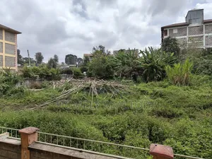 Commercial Quarter Acre Plot in Ngong Vet, 4th Row Ngong Rd