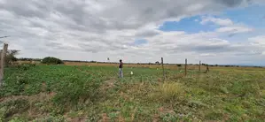 3 Eighths of Land at Solio Village 7