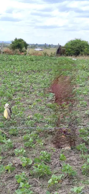 3 Eighths of Land at Solio Village 7