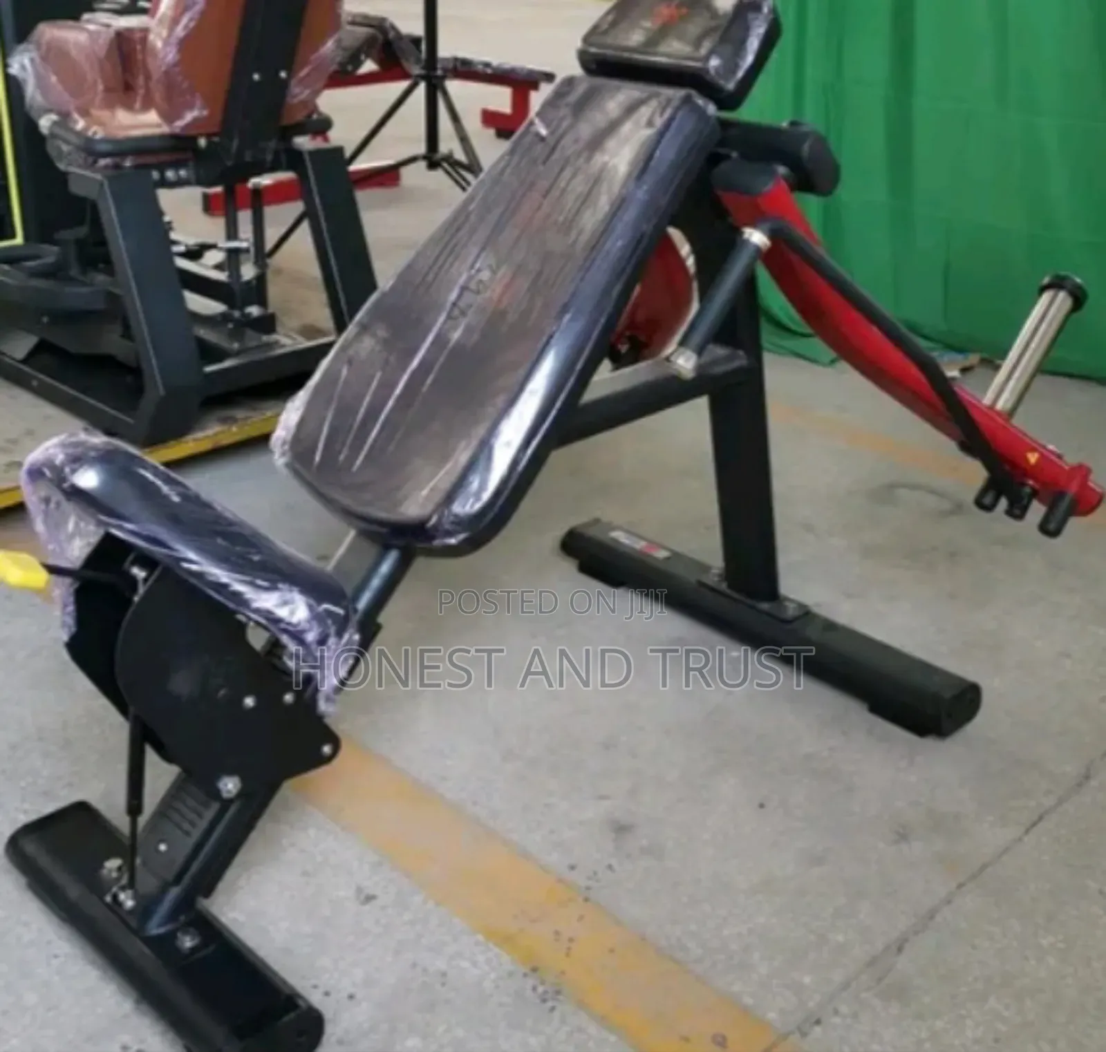 Imported Gym Bench