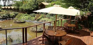 Hotel and Flight Booking