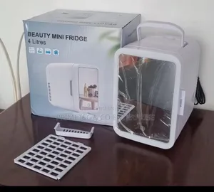 4l Portable Beauty Car Fridge