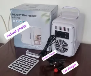4l Portable Beauty Car Fridge