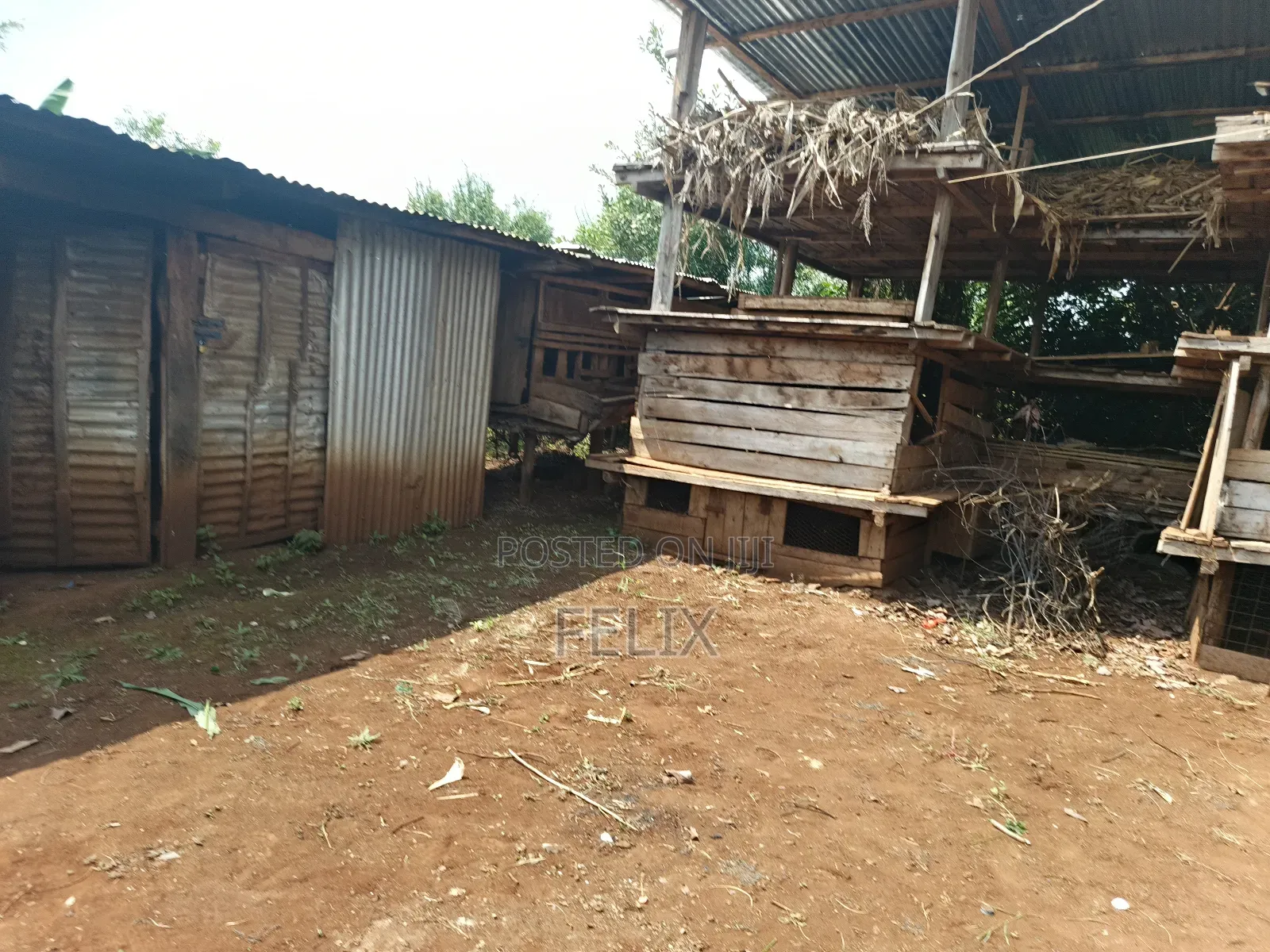 Kirinyaga Kiine 3 Bedroomed House