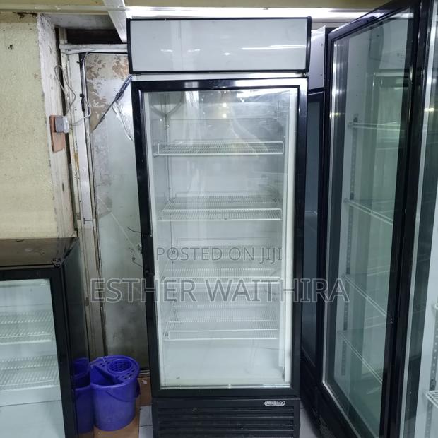 Frigolex Display Fridge - main view