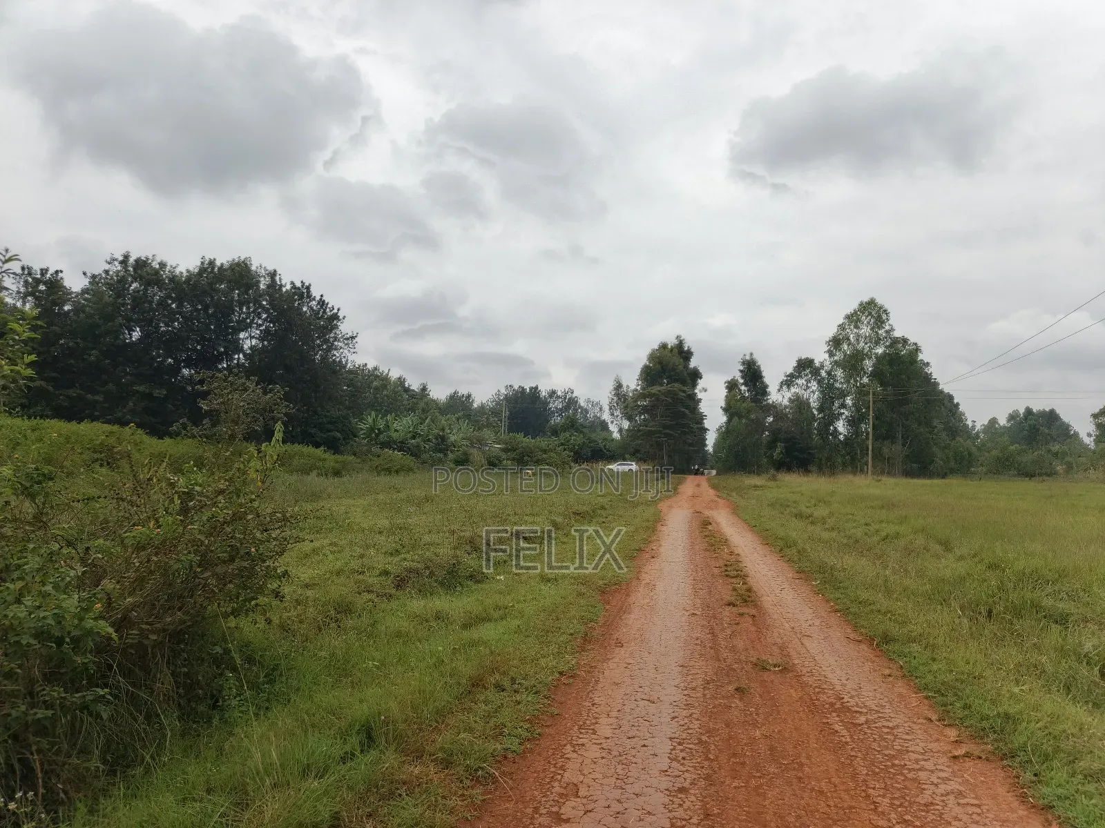 Sagana /Karima 3 Acres Red Soil