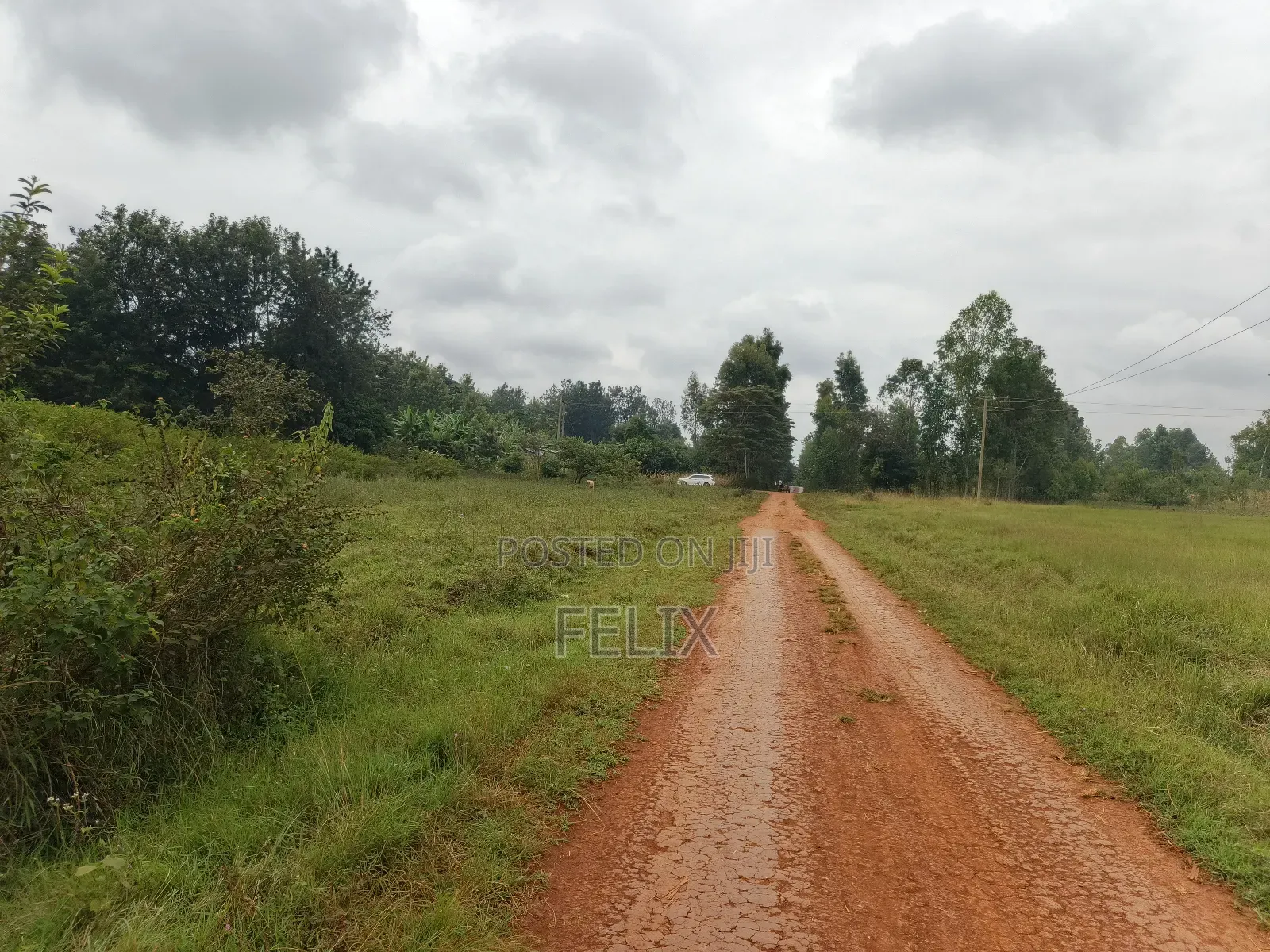 Sagana /Karima 3 Acres Red Soil