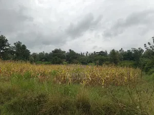 Sagana /Karima 3 Acres Red Soil