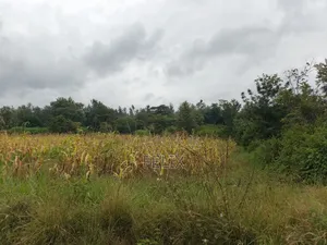 Sagana /Karima 3 Acres Red Soil