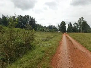 Sagana /Karima 3 Acres Red Soil