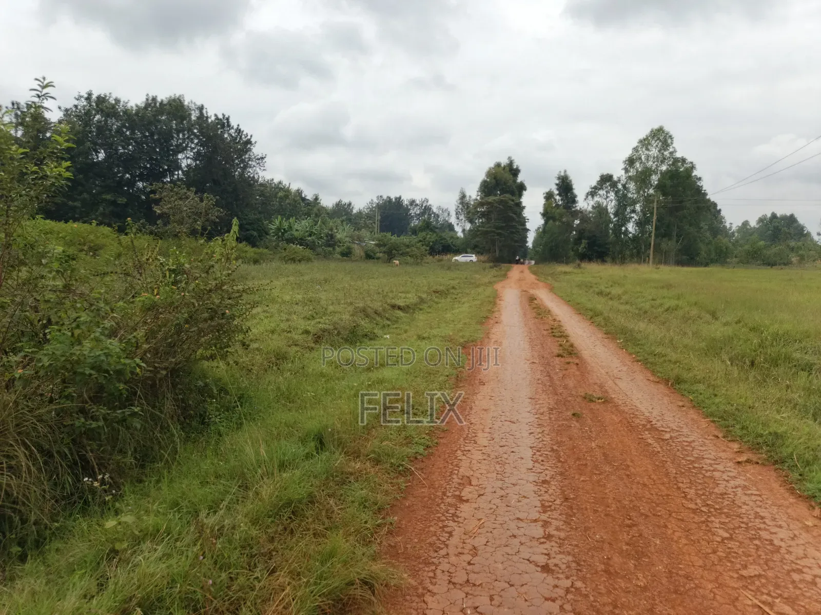 Sagana /Karima 3 Acres Red Soil