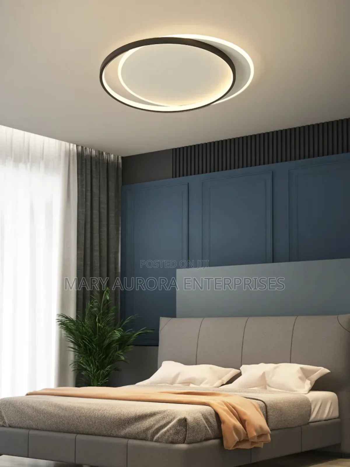 Ceiling Lights/Ceiling Lamps