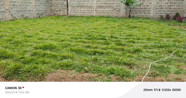 Prime Plot for Sale at Darasha, Ruiru Murera - thumbnail 2