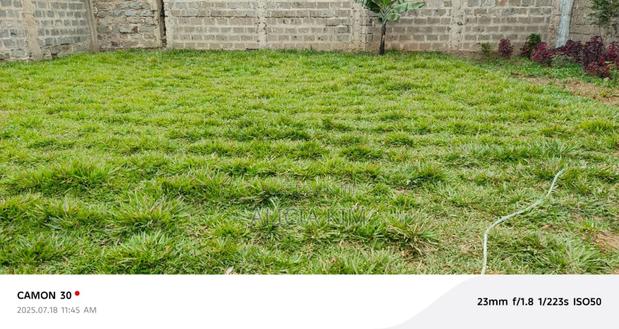 Prime Plot for Sale at Darasha, Ruiru Murera - thumbnail 5