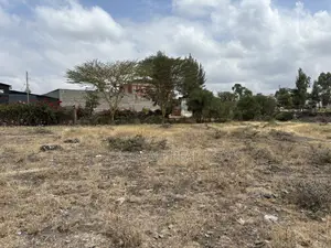 1/4 Acre Prime Plot for Sale