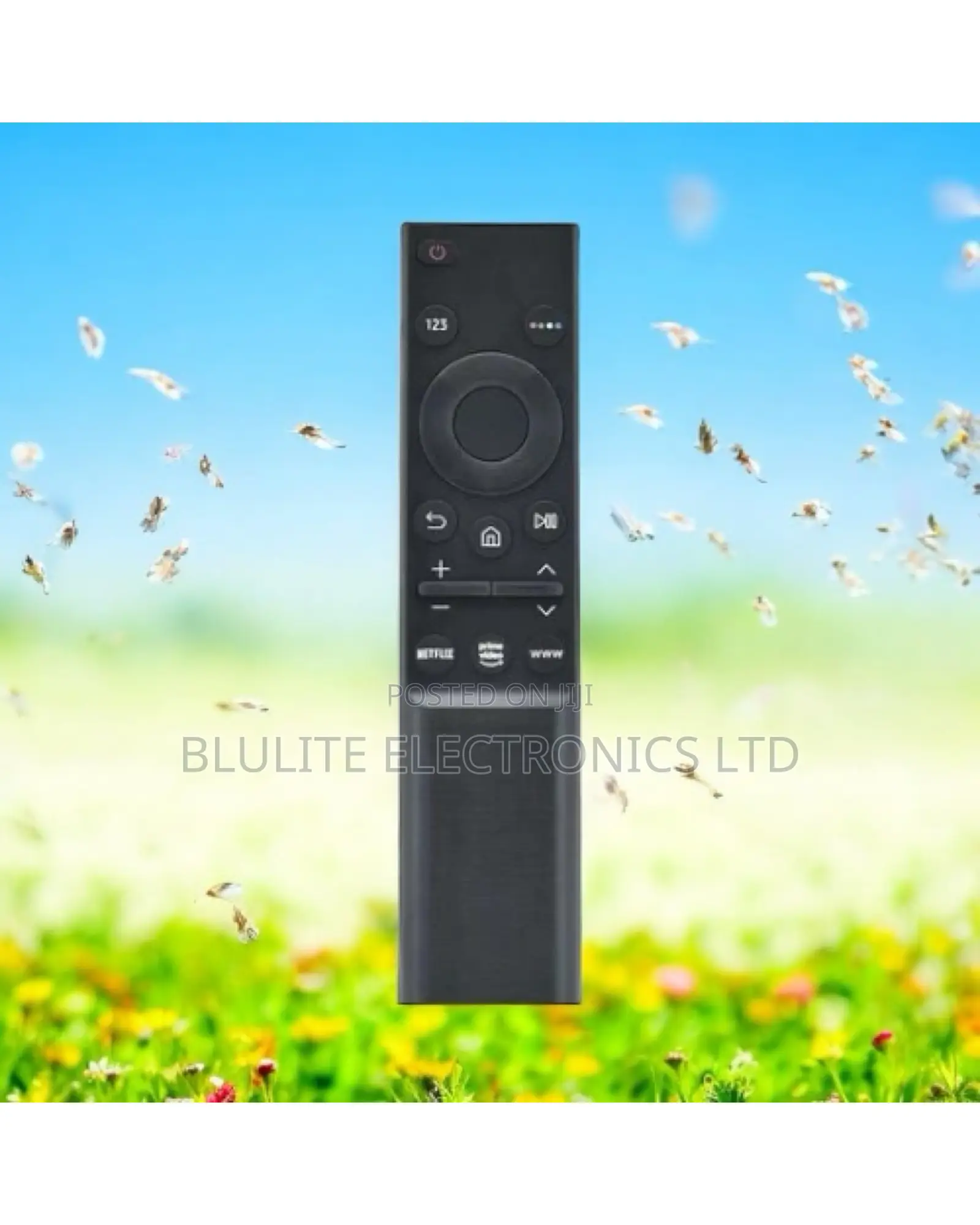 Samsung Slim Remote