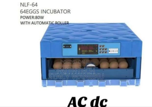 64 Eggs Incubator - main view