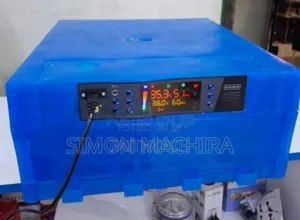 64 Eggs Incubator