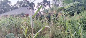 Prime Plot Gikambura Kikuyu 100 By 100 - thumbnail 2