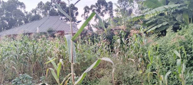 Prime Plot Gikambura Kikuyu 100 By 100 - main view