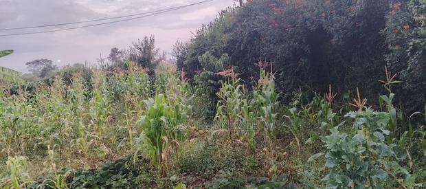 Prime Plot Gikambura Kikuyu 100 By 100 - thumbnail 3