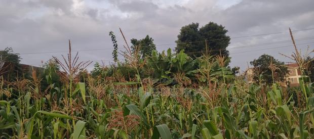 Prime Plot Gikambura Kikuyu 100 By 100 - thumbnail 5