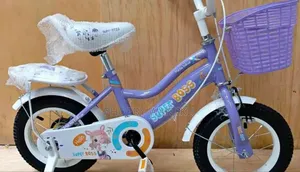 Amazing Kids Bike
