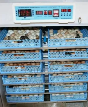 1056 Eggs Incubator