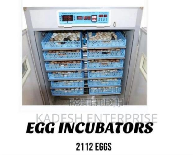 2112 Eggs Incubator - thumbnail 3