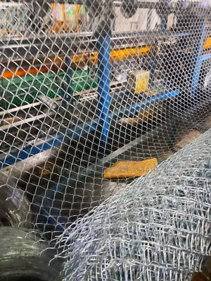 Top Super Quality Galvanized Chainlink (11g-3mm 65*65 7ft)