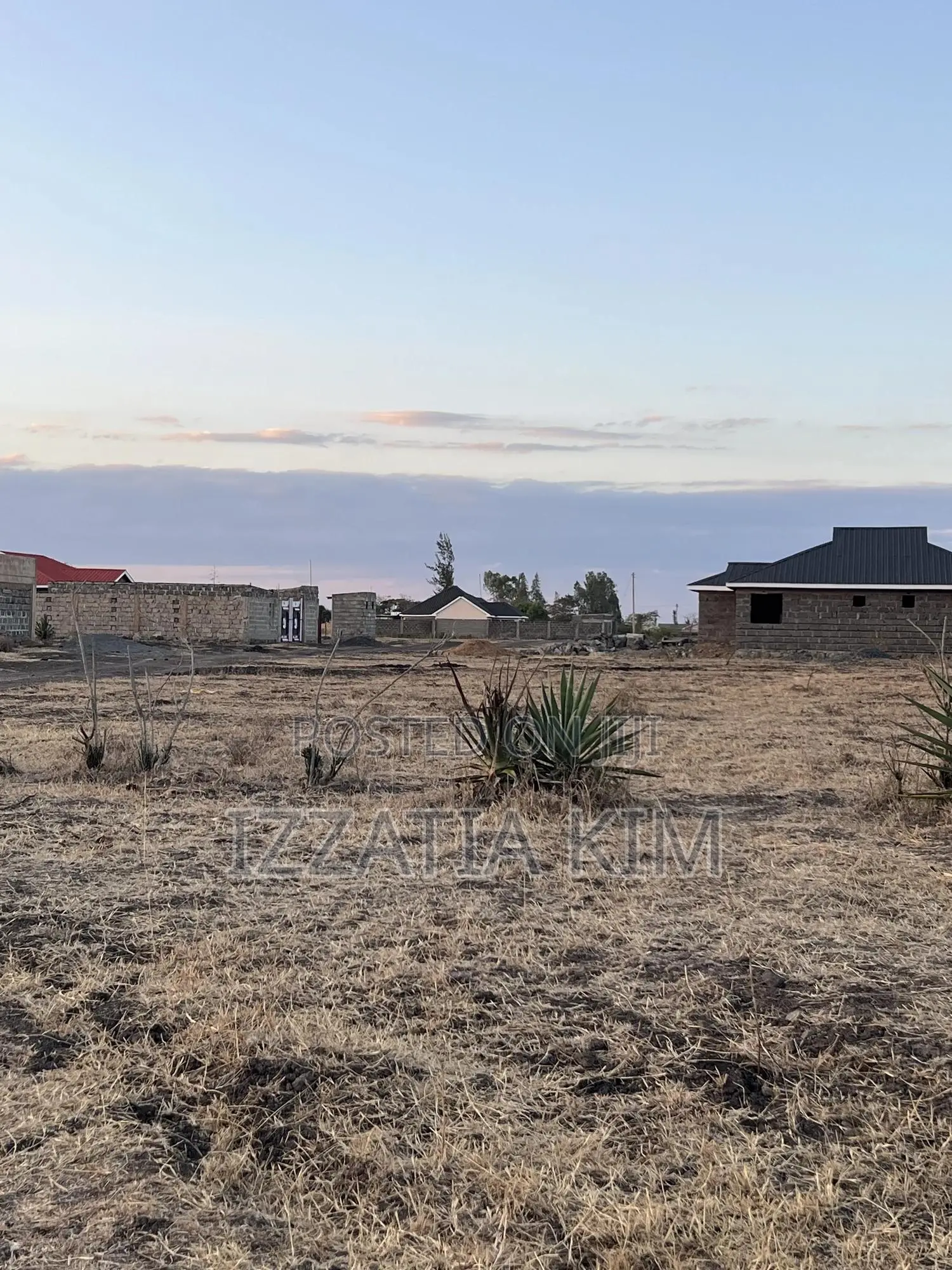 Juja Farm Mumba Plot