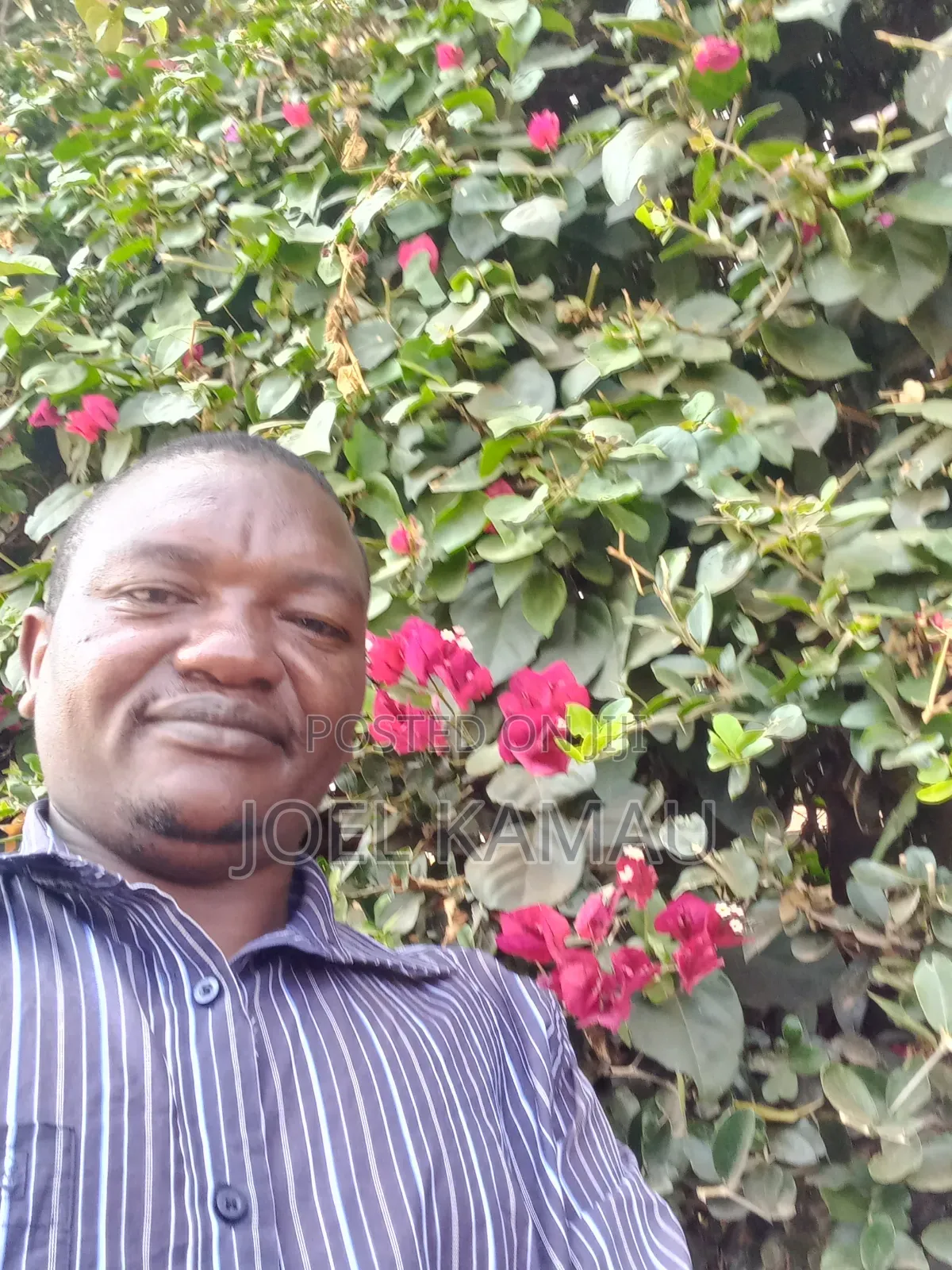 Name Joel Kamau Njau