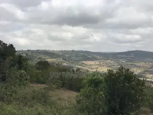 5 Acres Mua Hills