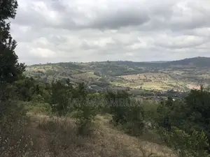 5 Acres Mua Hills