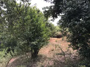 5 Acres Mua Hills