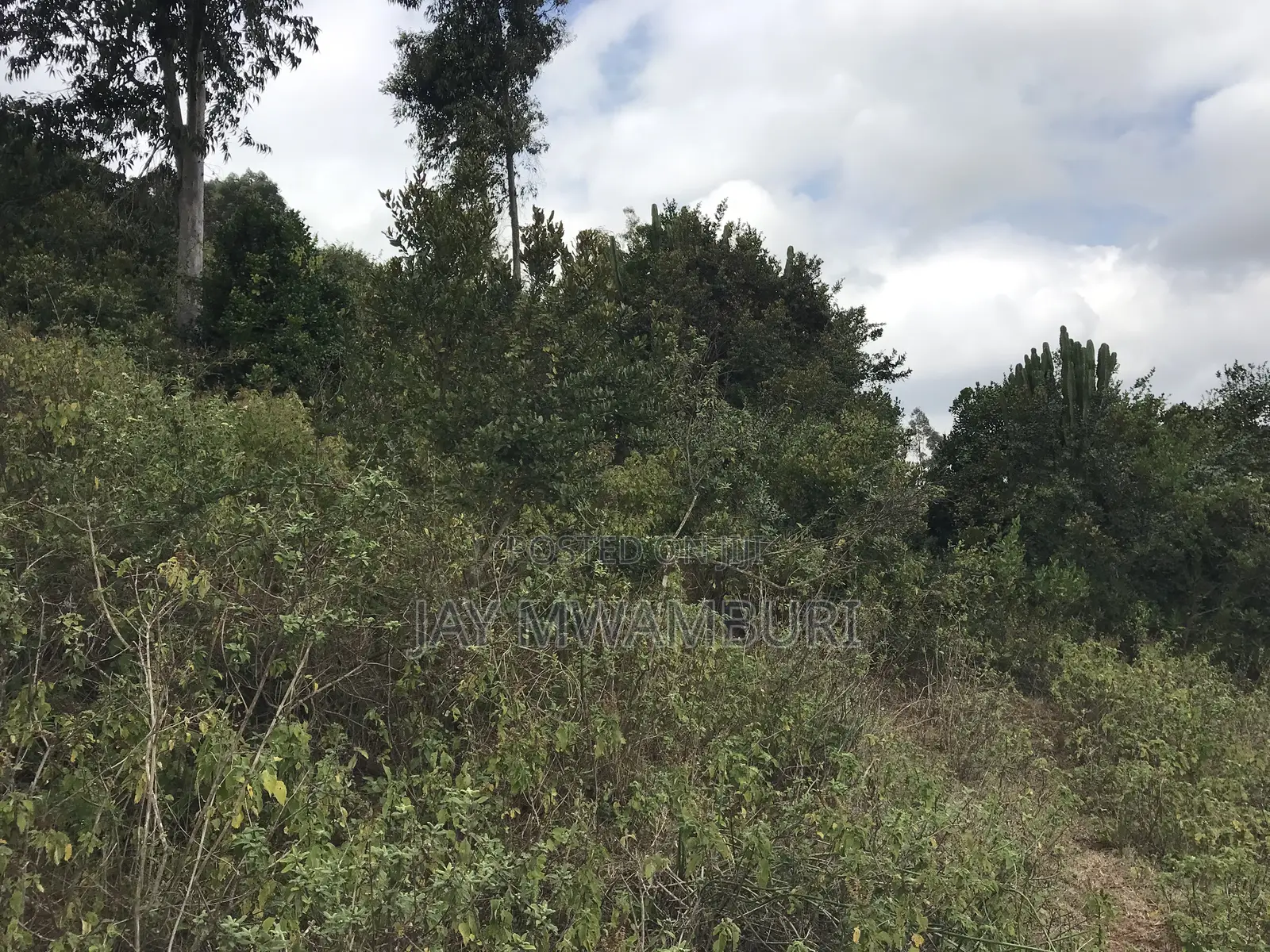 5 Acres Mua Hills