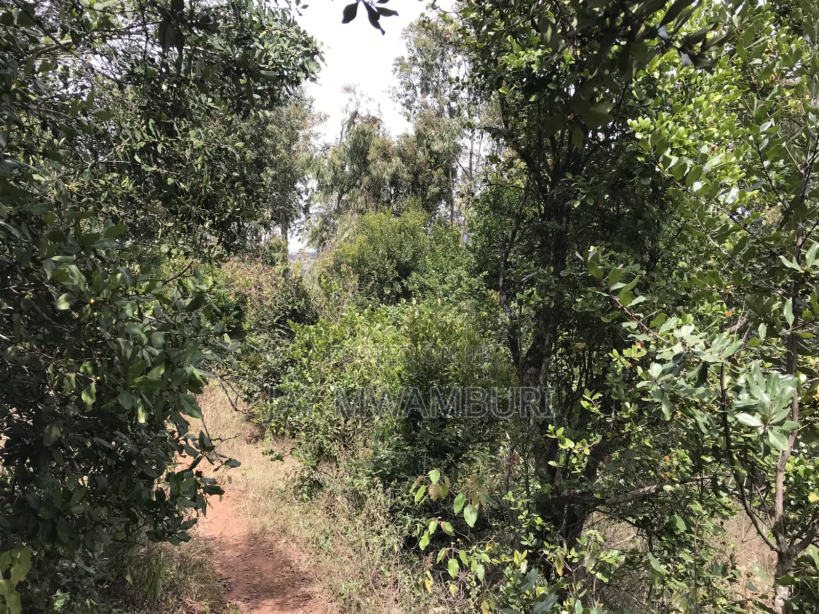 5 Acres Mua Hills