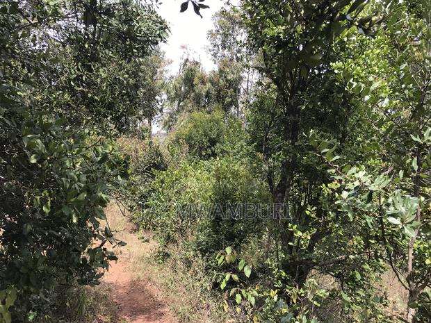 5 Acres Mua Hills - thumbnail 9