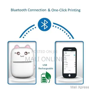 Mini Pocket Bluetooth Wireless Inkless Thermal Printer