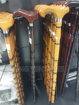 Walking Stick
