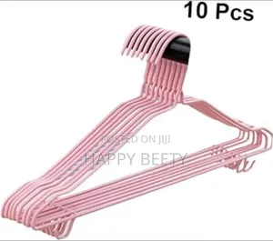10pc Simple Steel With Plastic Coat Hanger With Hooks Hanger