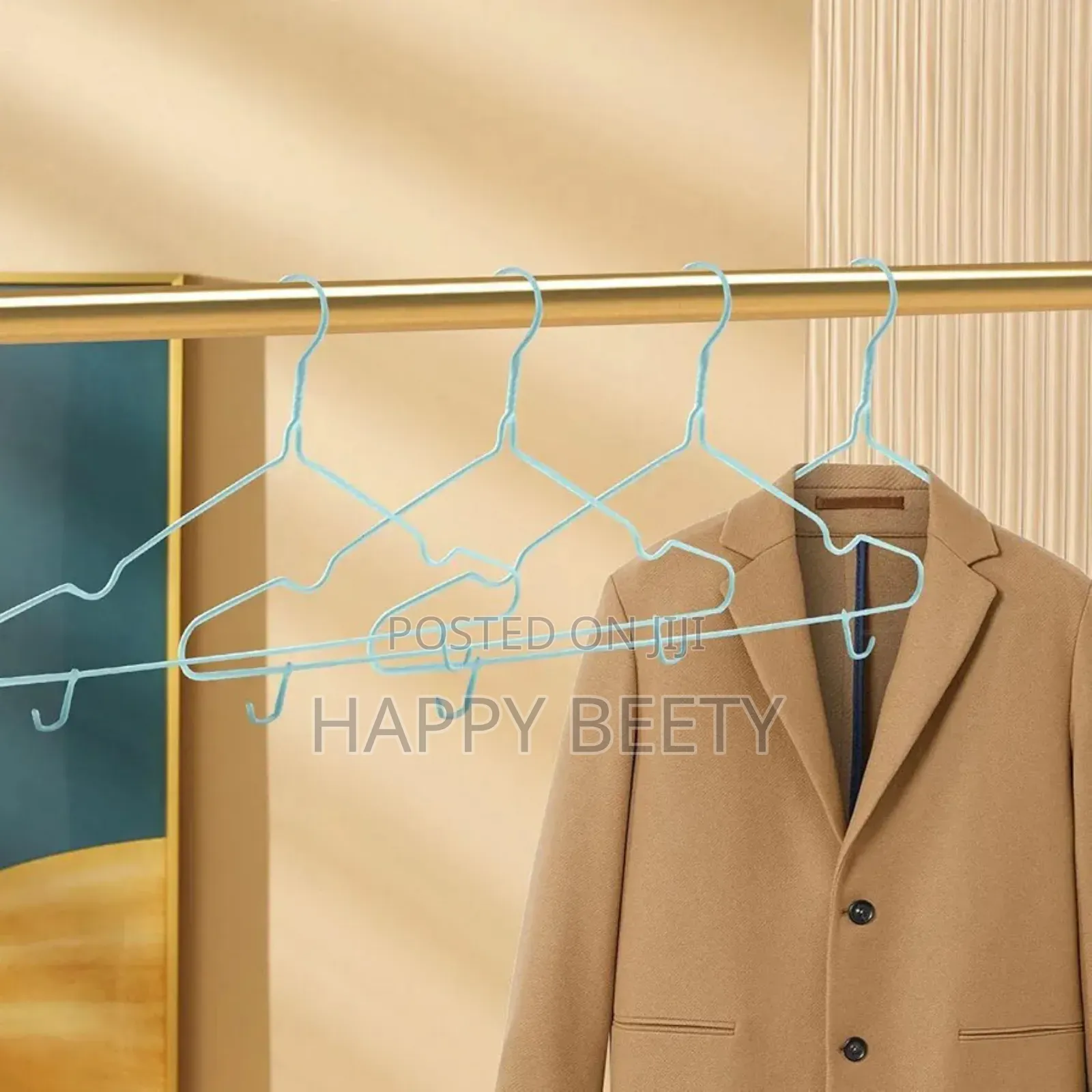 10pc Simple Steel With Plastic Coat Hanger With Hooks Hanger