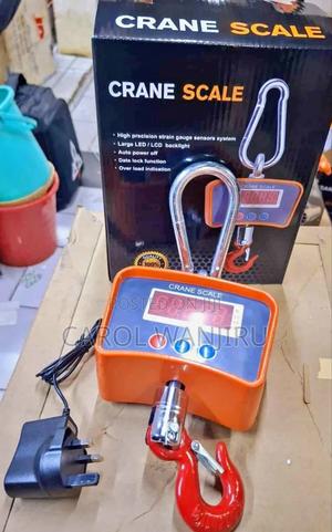 500 KGS Weighing Scale/ Crane Scale 500kgs - main view