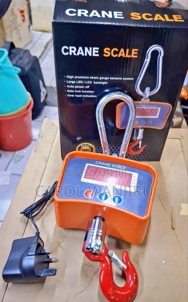 500 KGS Weighing Scale/ Crane Scale 500kgs