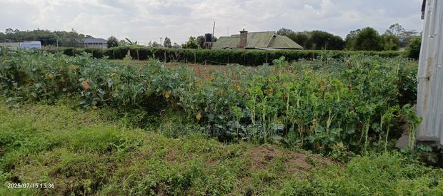 1/4 Acre for Sale in Pemways Behind Shinners Girls || Pedex - thumbnail 3