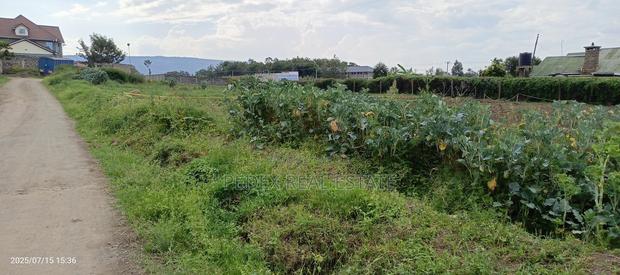 1/4 Acre for Sale in Pemways Behind Shinners Girls || Pedex - thumbnail 4