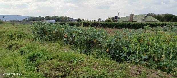 1/4 Acre for Sale in Pemways Behind Shinners Girls || Pedex - thumbnail 6