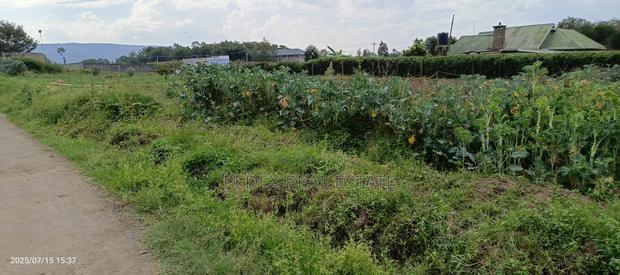 1/4 Acre for Sale in Pemways Behind Shinners Girls || Pedex - thumbnail 7