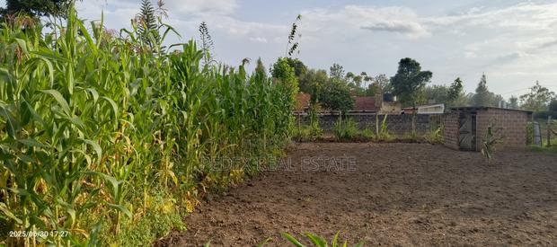 50x100 Plot in Lanet (Posta) for Sale || Pedex - thumbnail 3